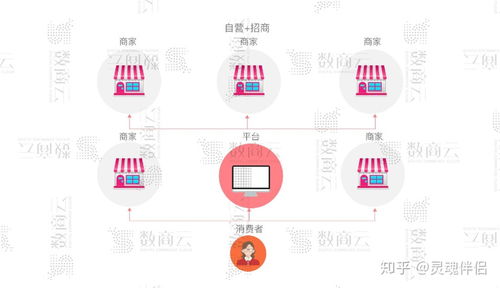 b2b2c多用户商城系统,功能 渠道 架构 商业模式整合方案