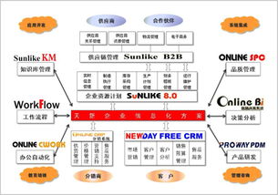 天新科技 企业信息化专家